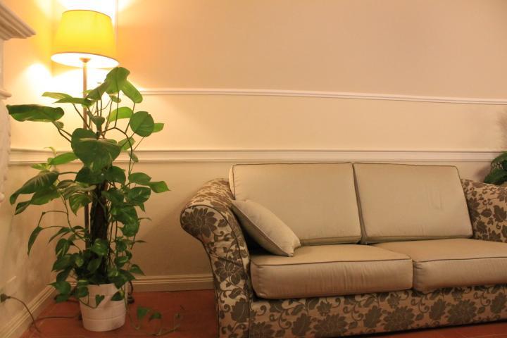 מרינה די פיאטרסנטה Hotel Coluccini מראה חיצוני תמונה